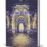 True Crime 1913 bis 1935 Der brutale Mörder Sternickel Berlin 1913 kl